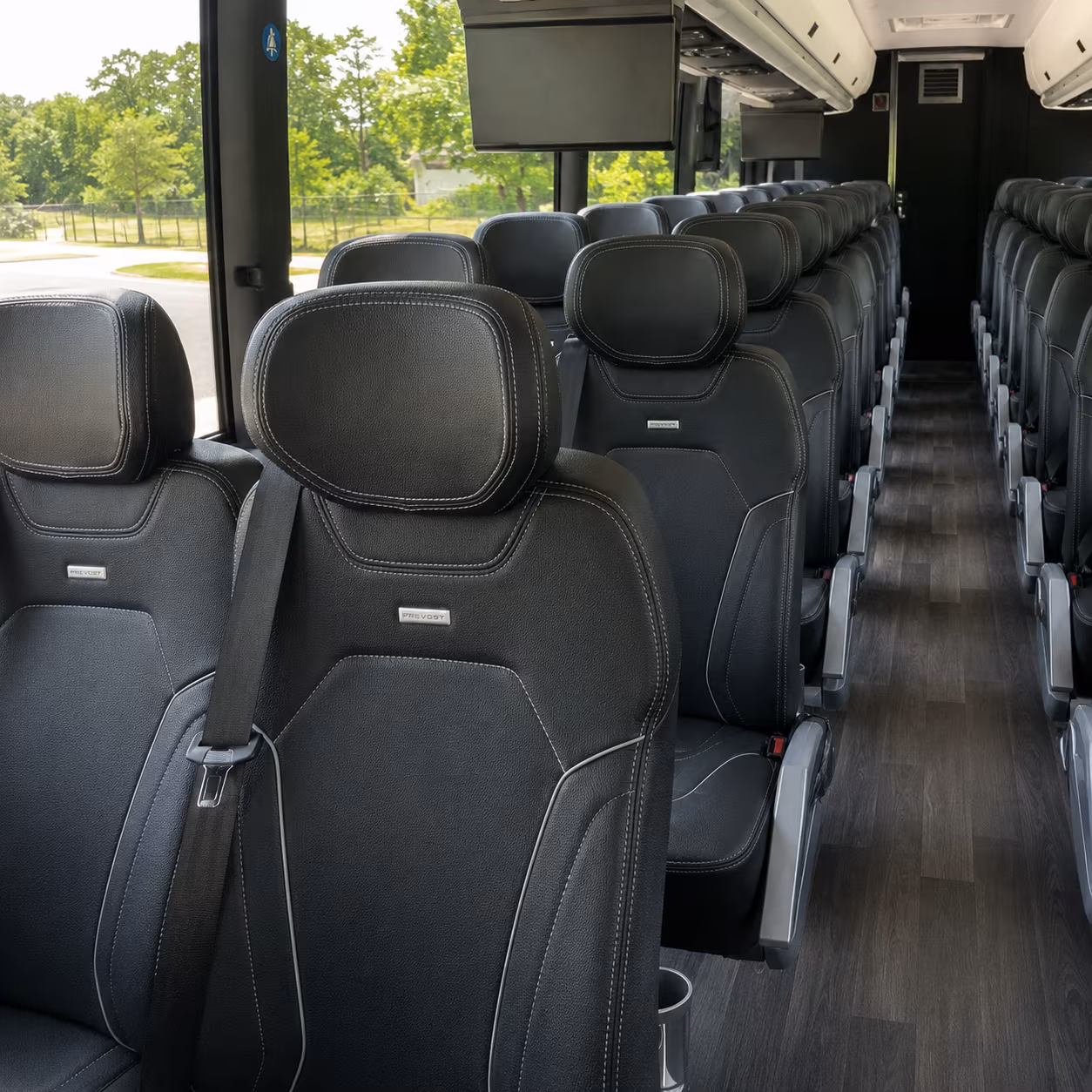 corona charter bus tours to joshua tree national park and grand canyon national park