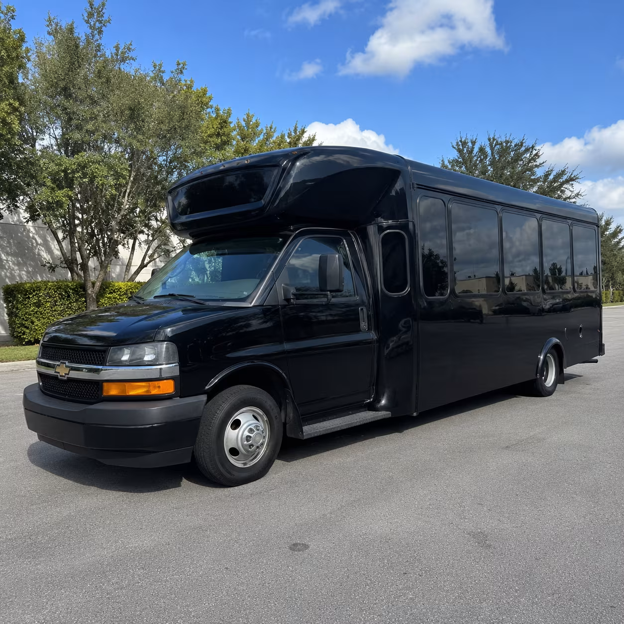 hit every photo stop in your corona party bus before the dance